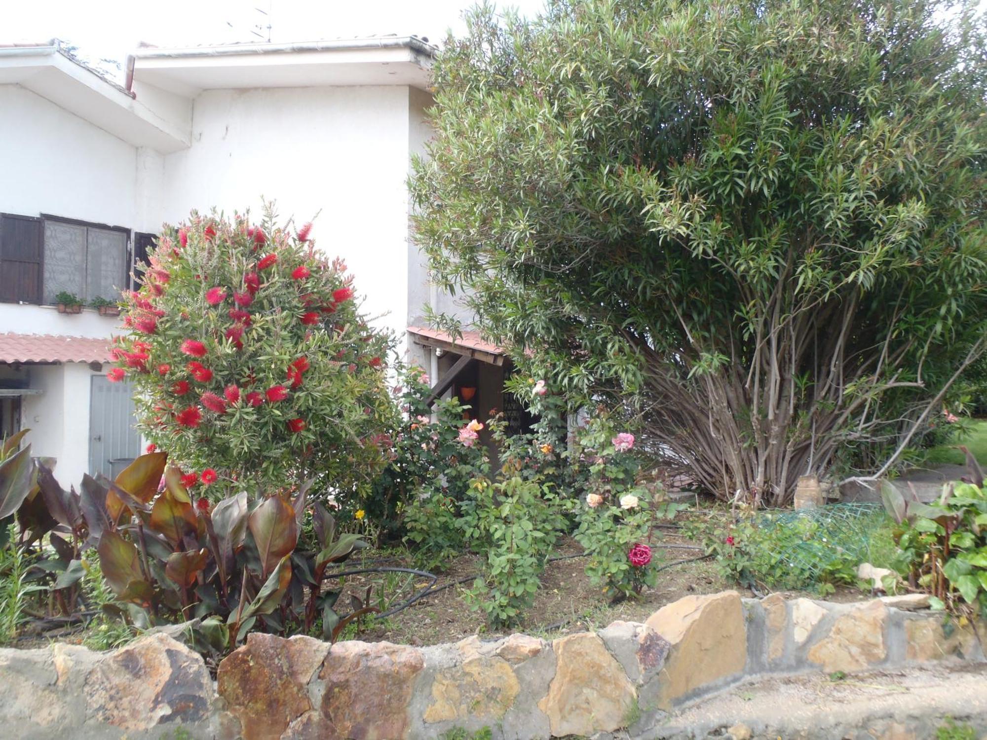 B&B Villa Sans Souci Civitavecchia Ngoại thất bức ảnh