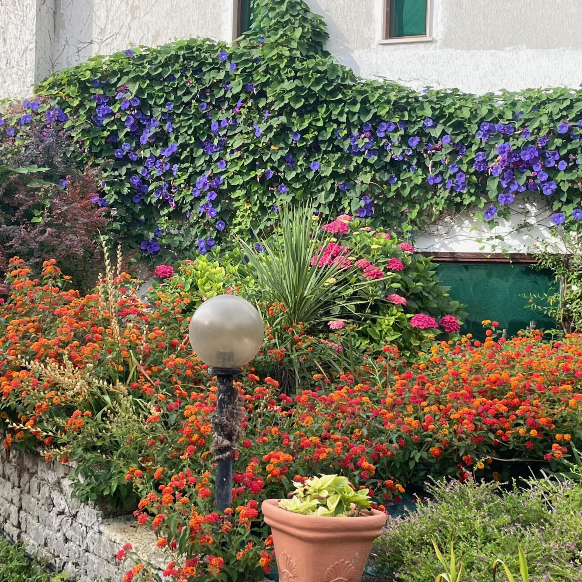 B&B Villa Sans Souci Civitavecchia Ngoại thất bức ảnh
