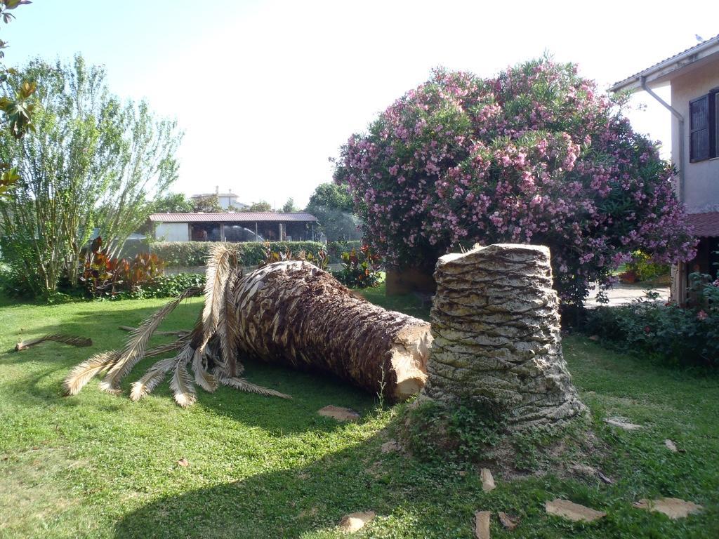 B&B Villa Sans Souci Civitavecchia Ngoại thất bức ảnh